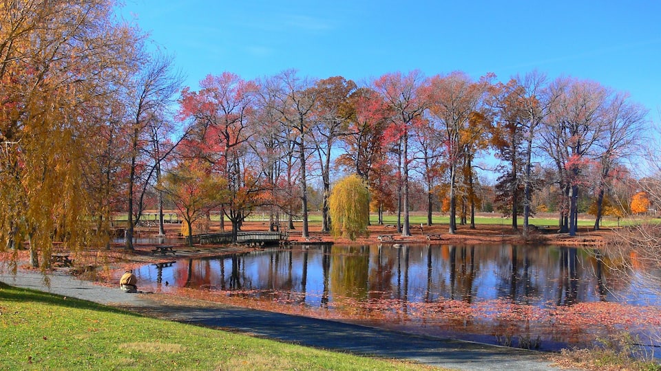 Autumn colours in Wilmington, USA