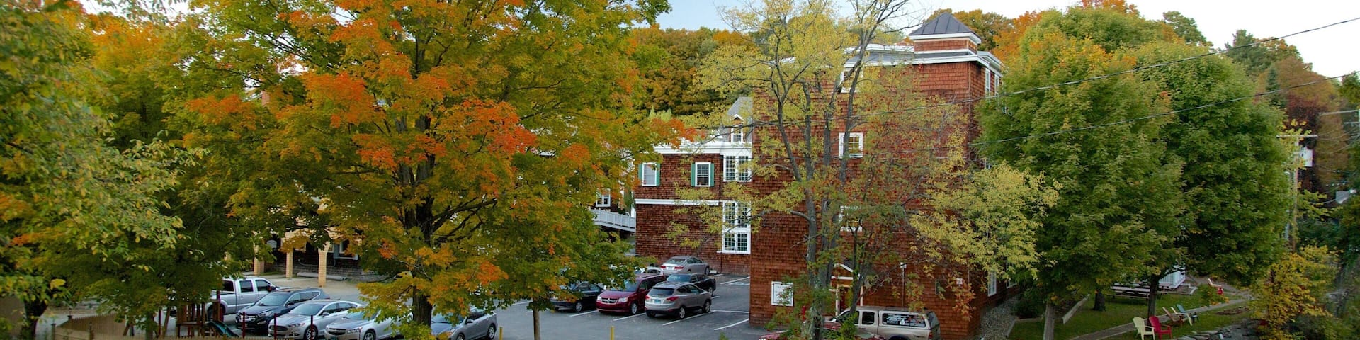 Wilmington which includes autumn leaves