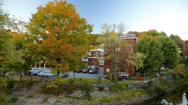 Wilmington which includes autumn leaves