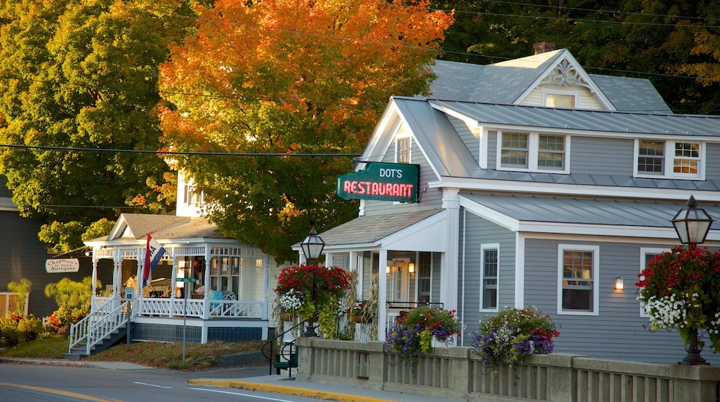 威明頓 其中包括 城市 和 秋色