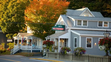 Wilmington featuring a city and autumn leaves