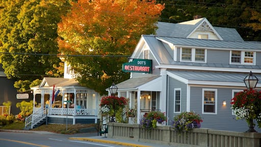 Wilmington caratteristiche di città e colori d\'autunno