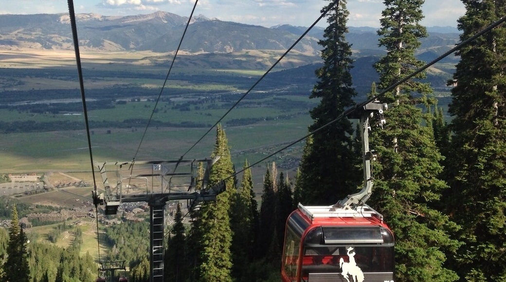 Free Gondola ride during the summer. It'd be a nice hike up then free ride down. But I just opted for the free ride both ways to enjoy the happy hour after kayaking the Snake River with Rendezvous tours, which was awesome and I highly recommend.