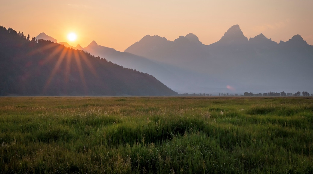 Ein Sonnenaufgang über einem Gebirgszug, im Vordergrund eine Wiese.