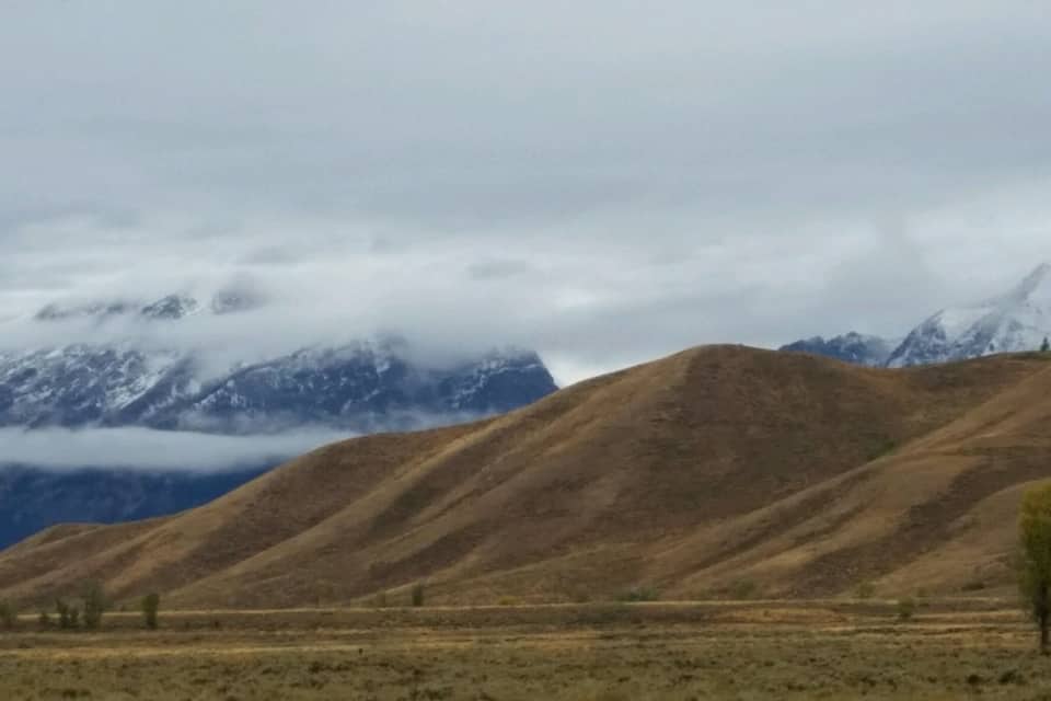 Un paisaje montañoso con colinas ondulantes y un árbol en primer plano.