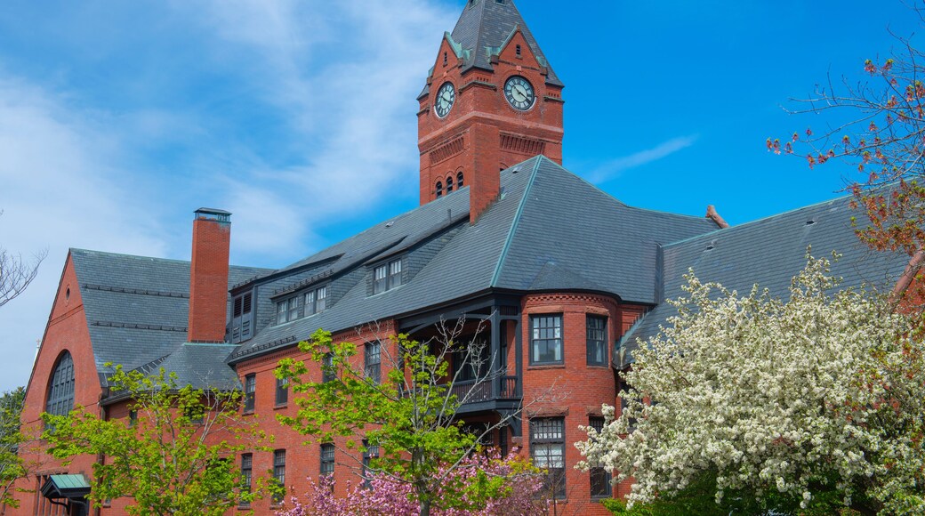 Winchester Town Hall at 71 Mt Vernon Street in historic town center of Winchester, Middlesex County, Massachusetts MA, USA.