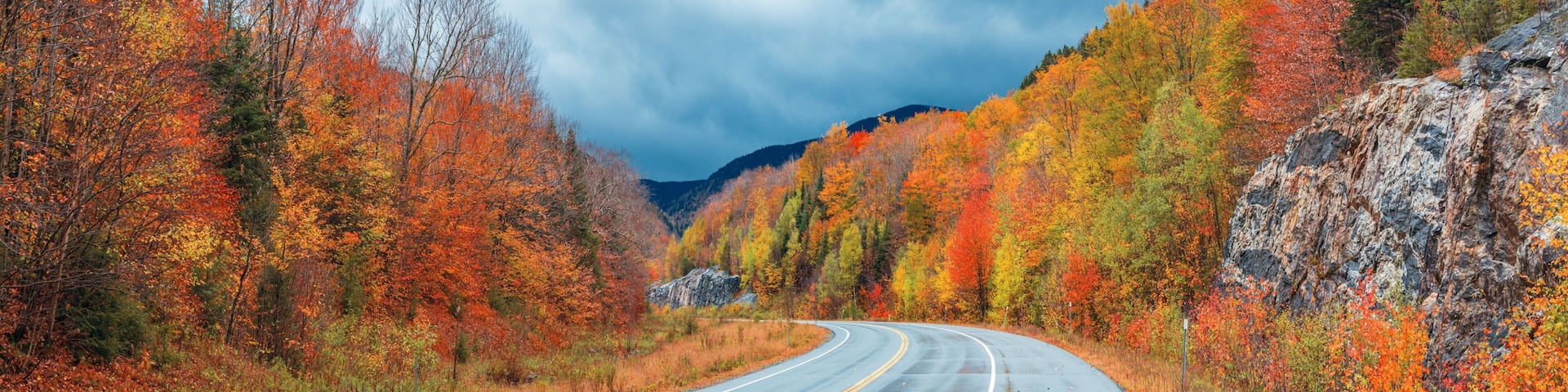 Beautiful Fall colors