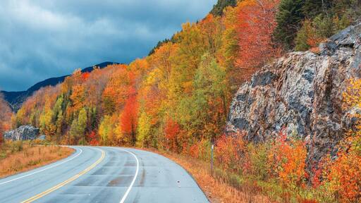 Beautiful Fall colors