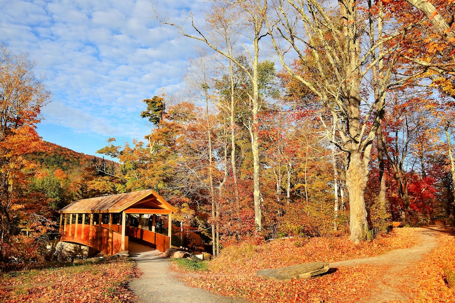 Amazing foliage upstate New York. Morning sunlight spills over the golden foliage. Windham NY is one of the most popular destination for scenic drives, bike trails, foliage and nature lovers.; Shutter