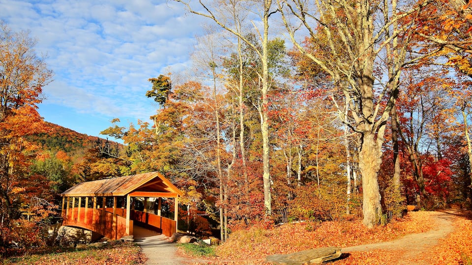 A wooden covered bridge in a forest with autumn foliage.