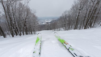 A pair of skis looking over the dege of a snow covered trail, Windham, NY, USA