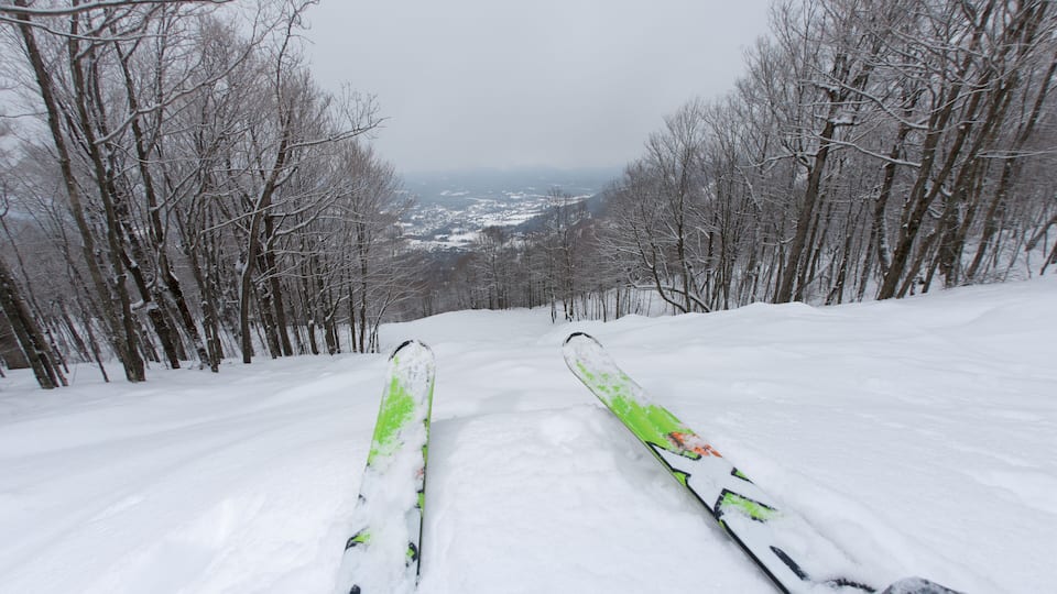 A snowy ski slope with trees on either side and a view of the valley below.