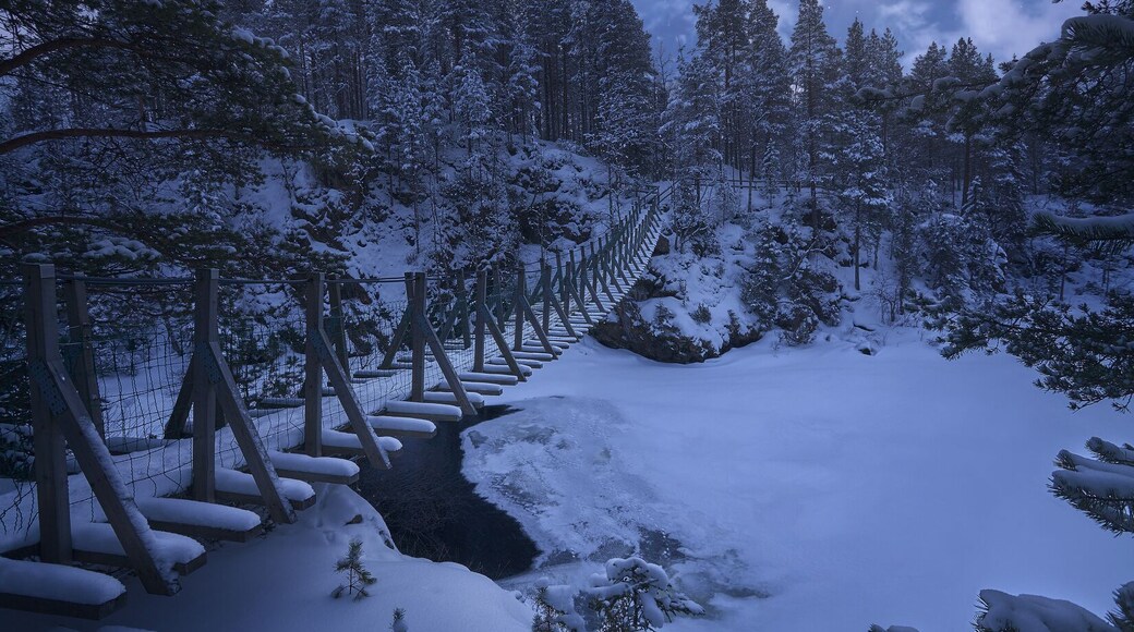Moon melody
Our last day in Oulanka National Park in Finland... Hope we'll be back here sometime :)
https://www.instagram.com/_krubek_/