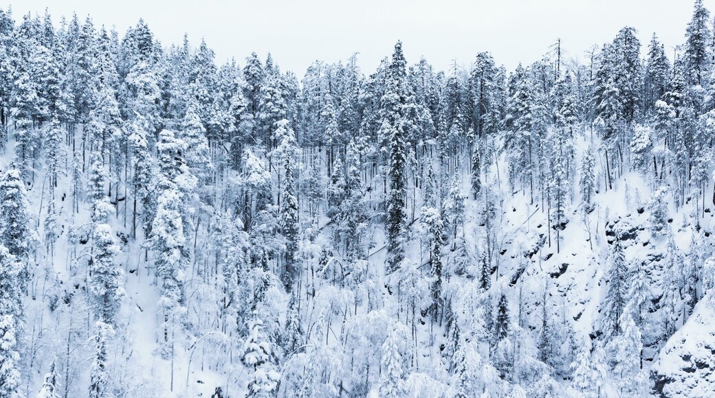 Cool spot on the Pieni Karhunkierros hiking trail, that is also hike-able in the winter time, in Oulanka National Park.