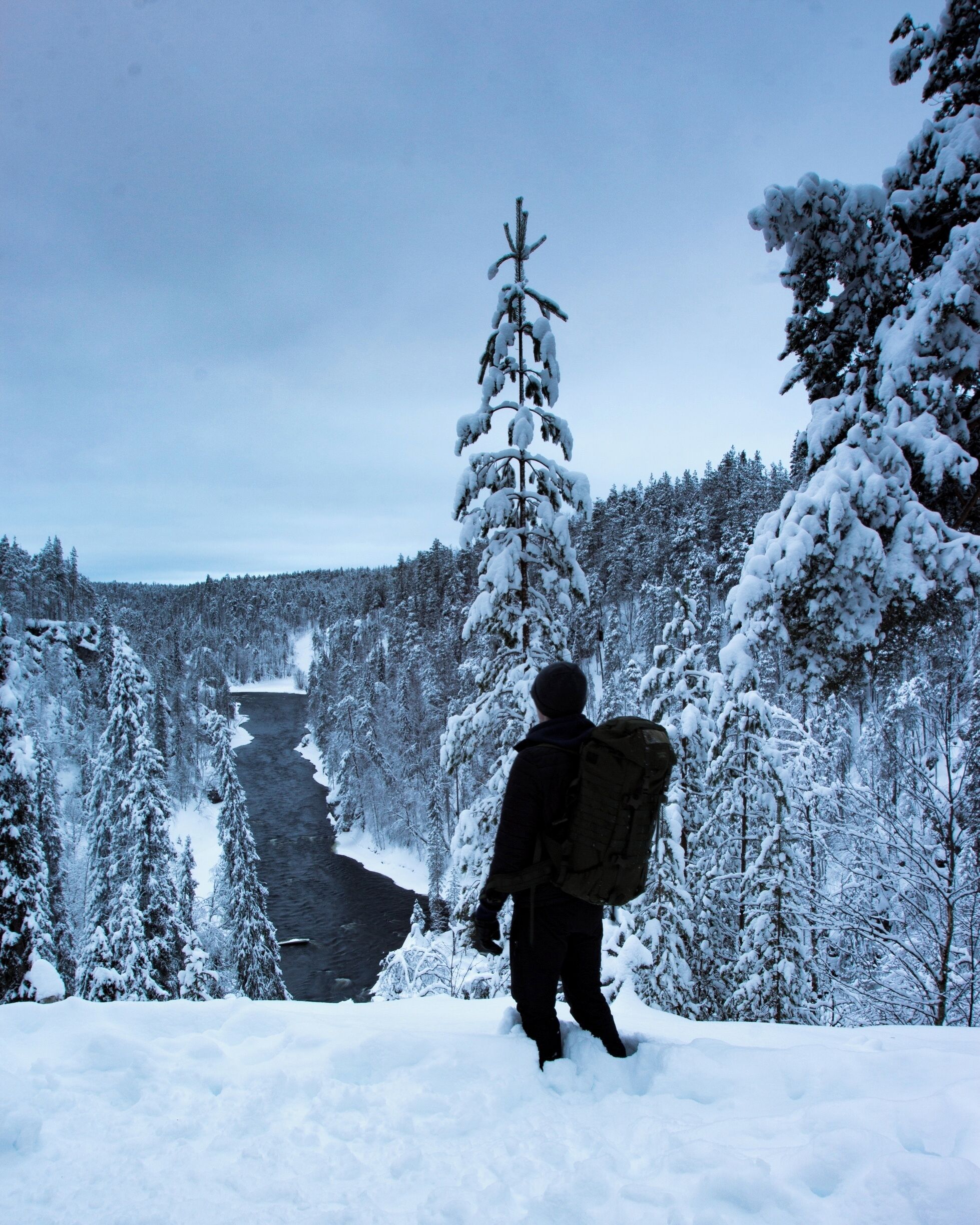 Winter views in the park.
