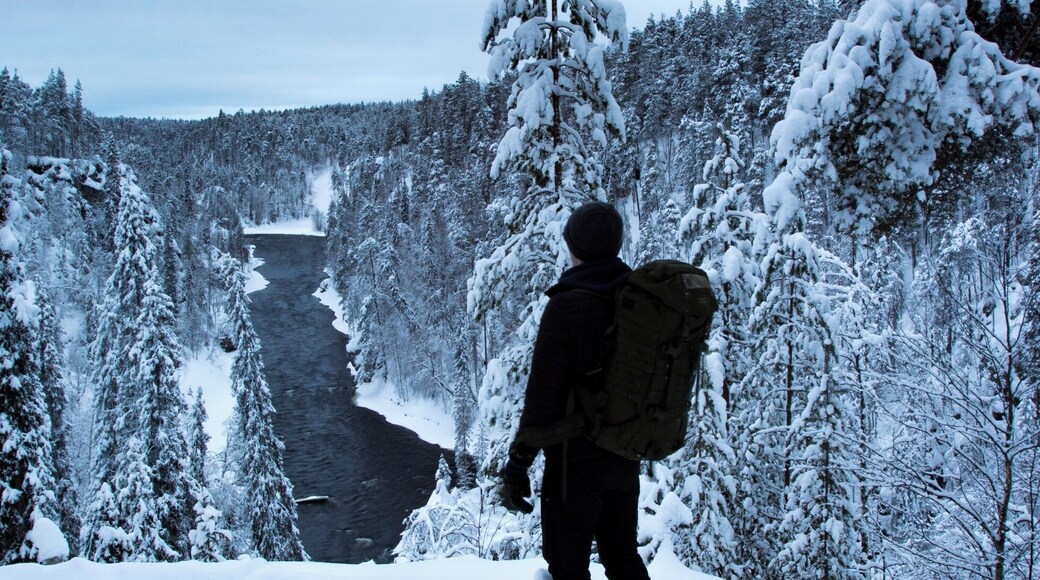 Winter views in the park.