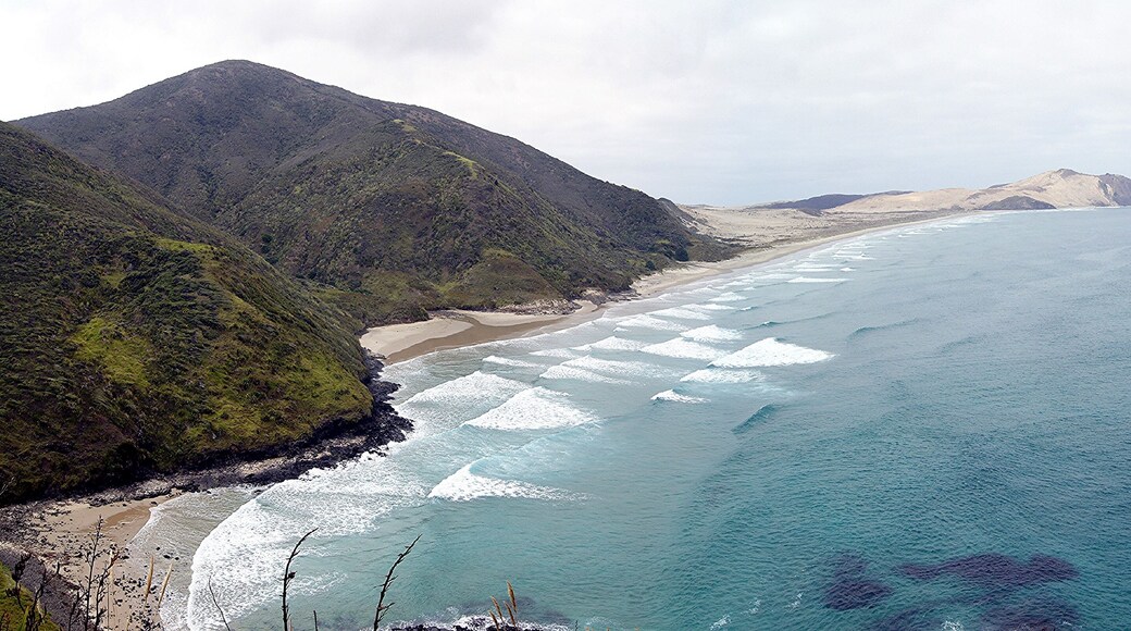Bay of Islands, Cape Reinga, Kaitaia, North Island, New Zealand