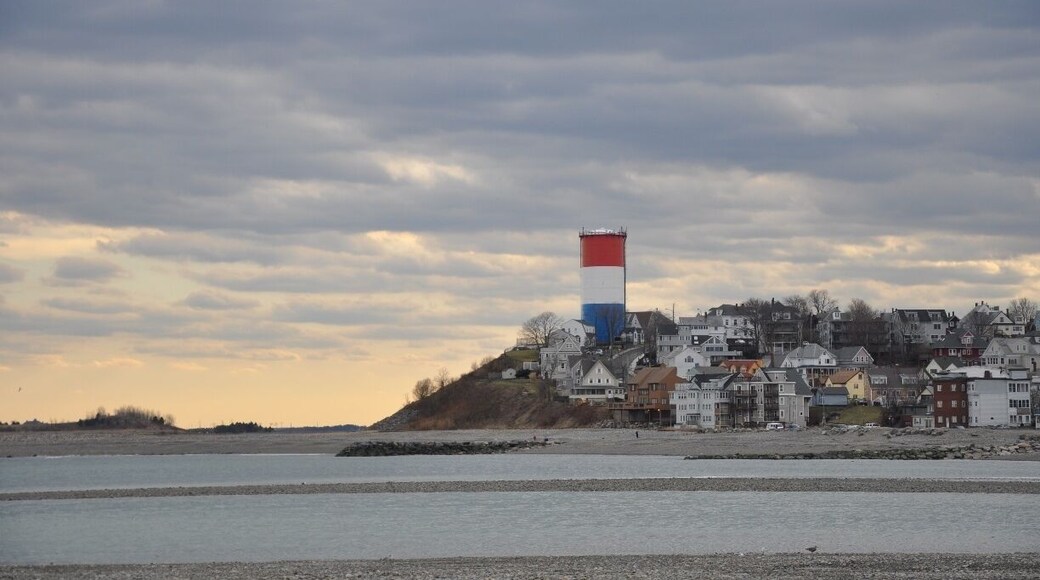 As seen from Deer Island, this is the town of Winthrop, just north of Boston, MA. It's a cute, condensed town with houses stacked right on top of each other on the hills. The long beach (the end of which you can see in the photo) is a great place to walk in winter, and of course is packed in the summer. Get there early to find a parking space!