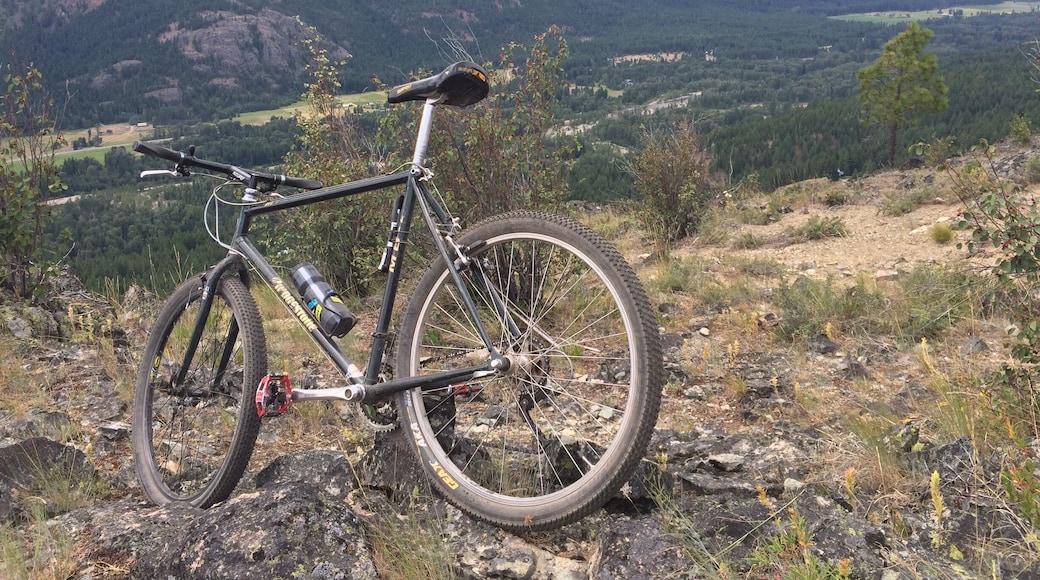 Tons of fun single track around Mazama.