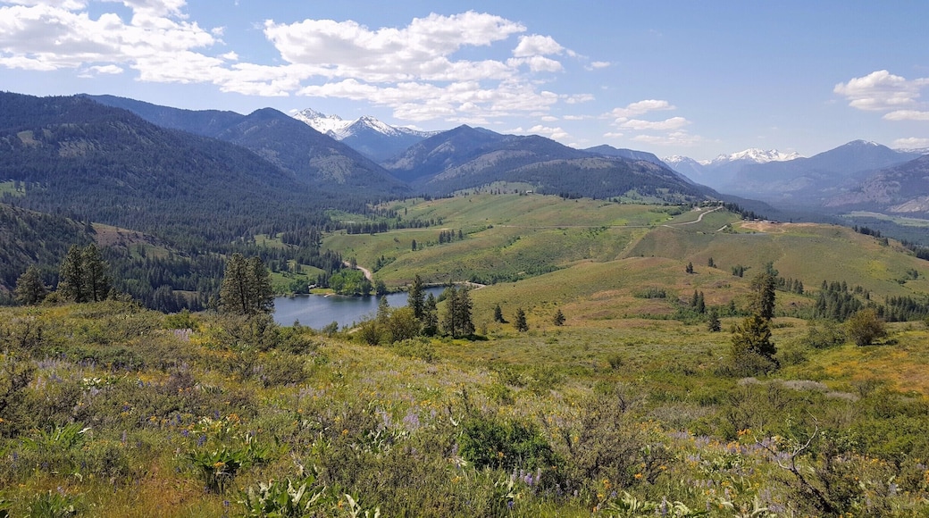 The Patterson Mountain trail in Winthrop, WA, provides stunning views of the Methow Valley and the Sawtooth Range. Go in Spring, and you'll encounter endless wild flowers. One tip - if it's going to be a hot day, save the hike for morning or evening as there is practically no shade along the way. #LifeatExpedia #hike