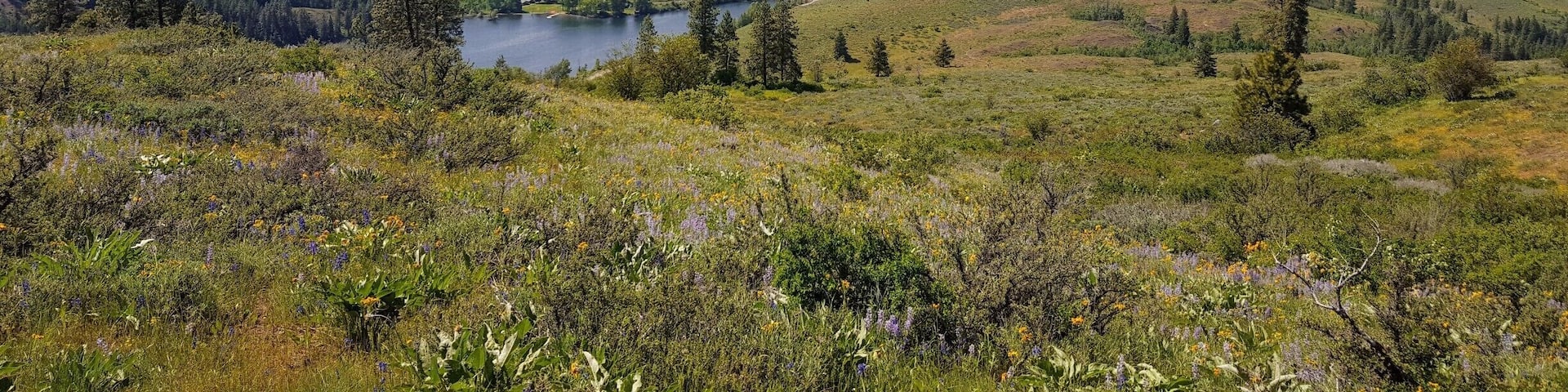 The Patterson Mountain trail in Winthrop, WA, provides stunning views of the Methow Valley and the Sawtooth Range. Go in Spring, and you'll encounter endless wild flowers. One tip - if it's going to be a hot day, save the hike for morning or evening as there is practically no shade along the way. #LifeatExpedia #hike