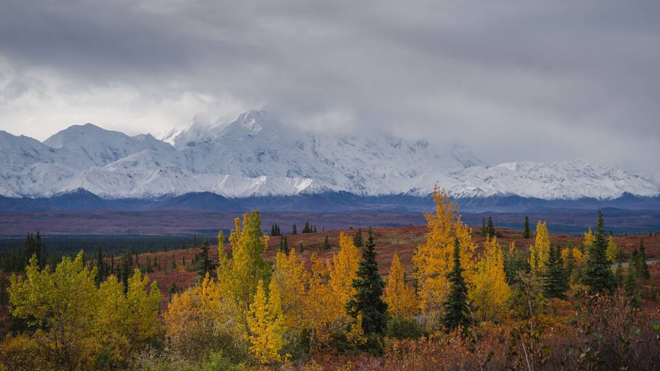 A mountainous landscape with snow-capped peaks and autumn-colored trees in the foreground.