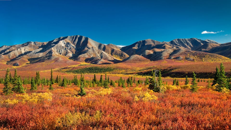 A mountainous landscape with autumn foliage and coniferous trees.