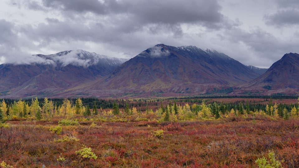 A mountainous landscape with autumn-colored vegetation and a forested valley.