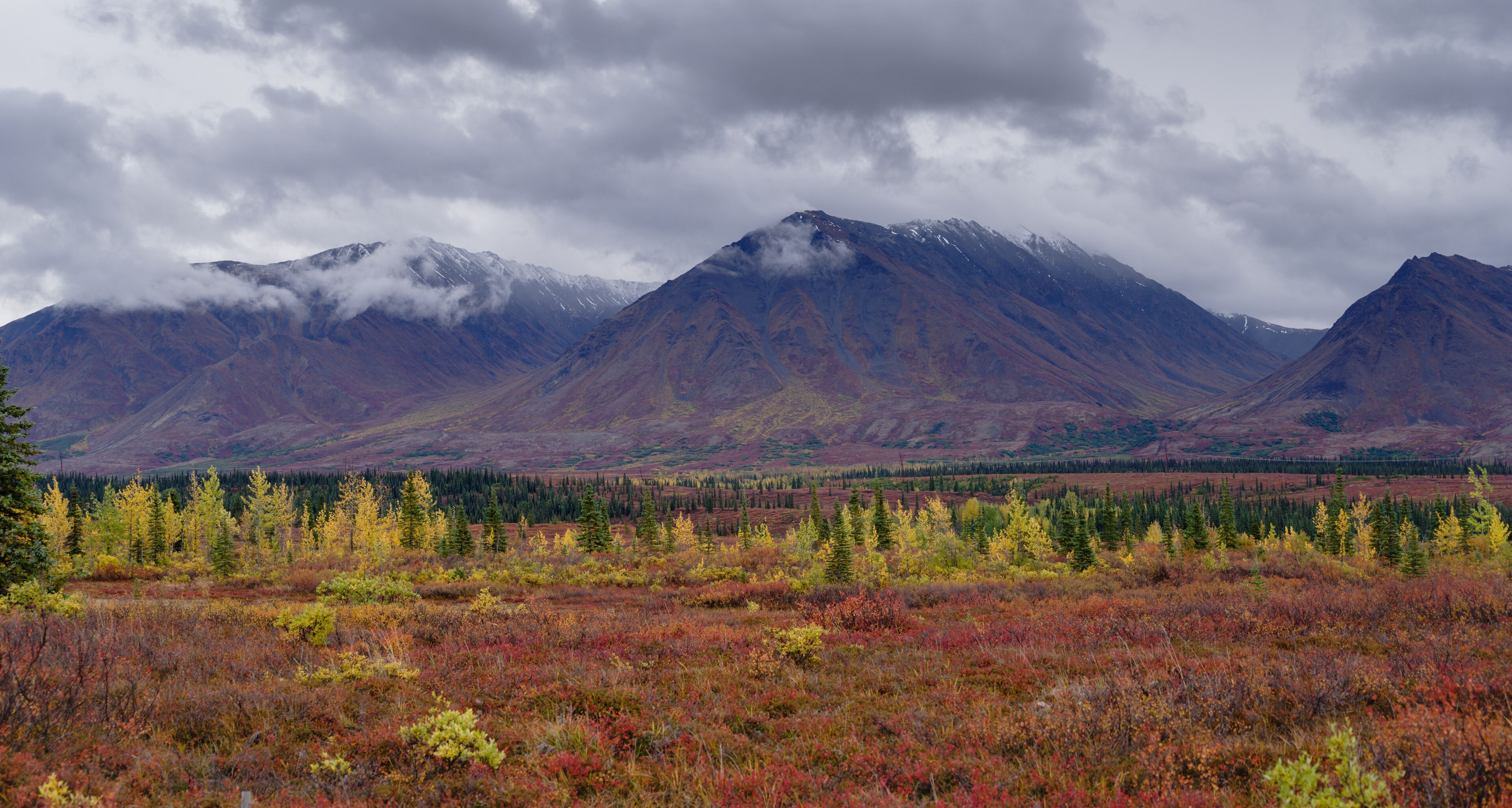 A mountainous landscape with autumn-colored vegetation and a forested valley.