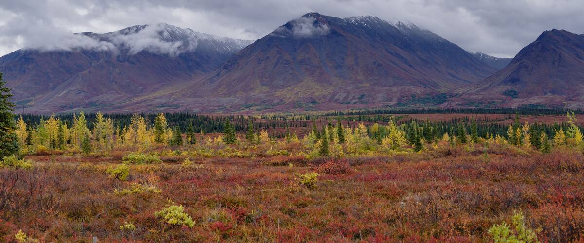 A mountainous landscape with autumn-colored vegetation and a forested valley.
