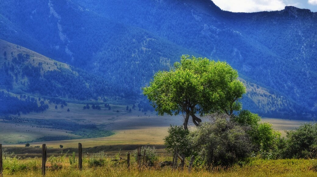 Take this drive just out side of Sheridan Wyoming, the beautiful Bighhorn Mountains in view for miles.
