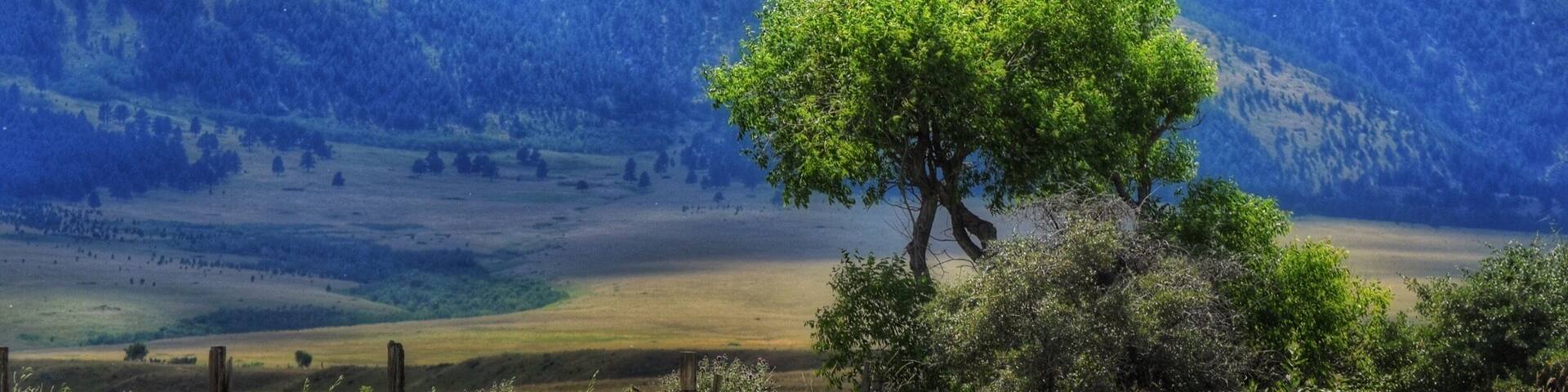 Take this drive just out side of Sheridan Wyoming, the beautiful Bighhorn Mountains in view for miles.