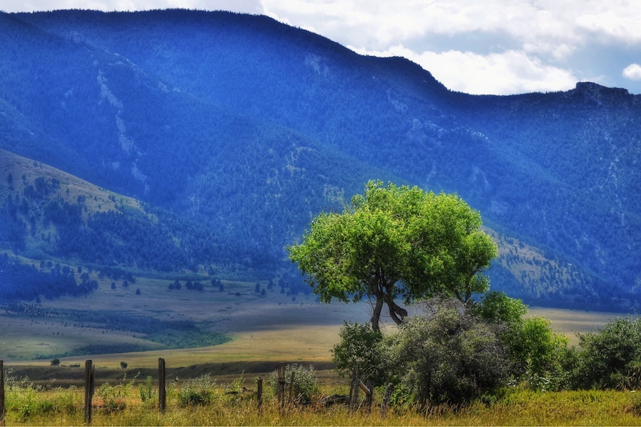Take this drive just out side of Sheridan Wyoming, the beautiful Bighhorn Mountains in view for miles.