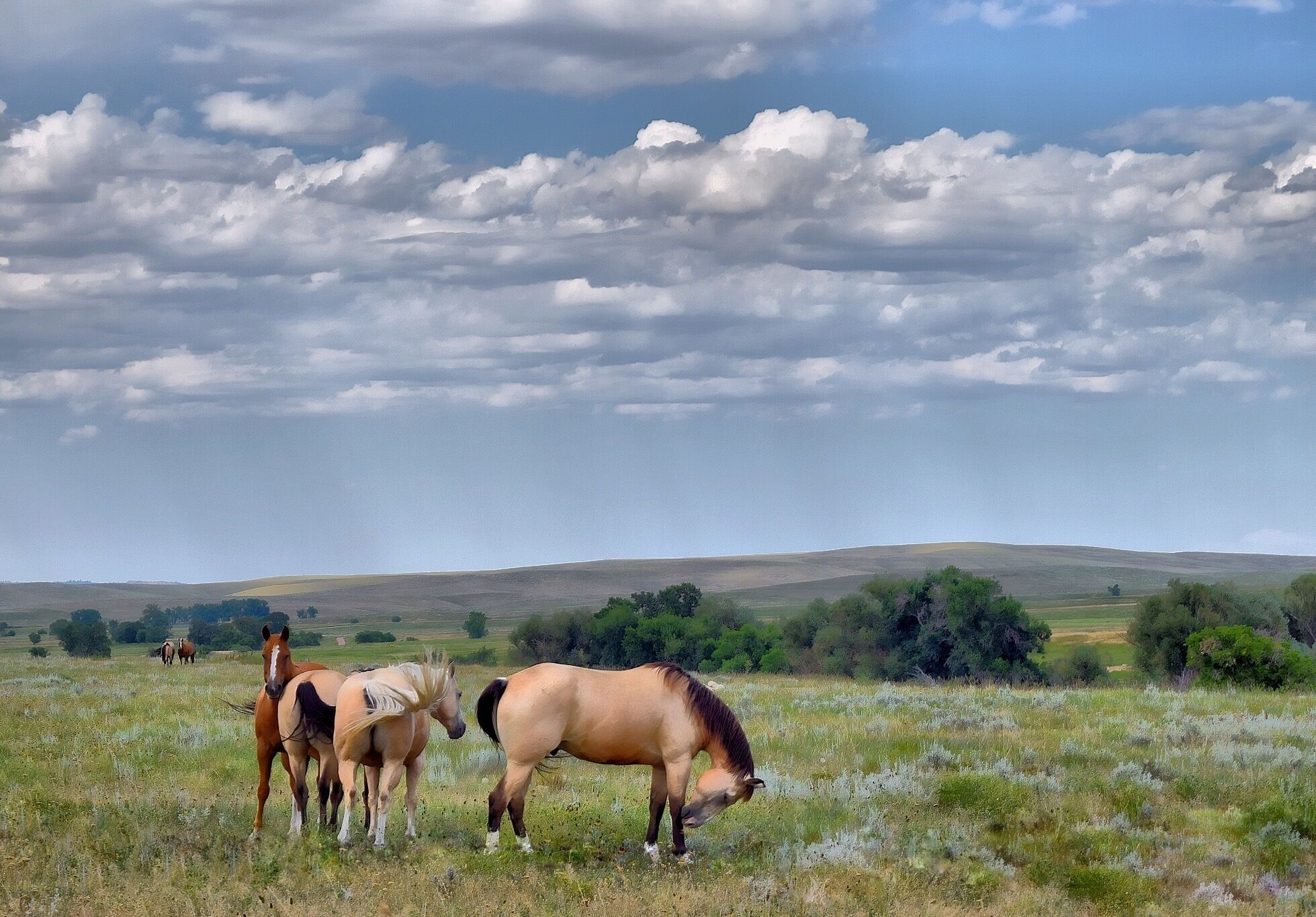 This is near Eatons ranch out Beckton road.