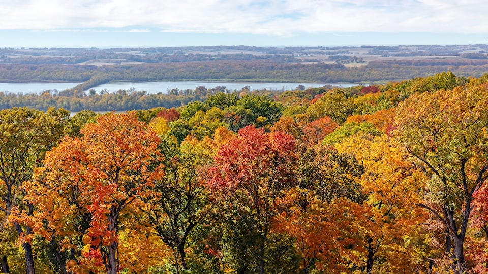 A forest with autumn foliage and a lake in the background.