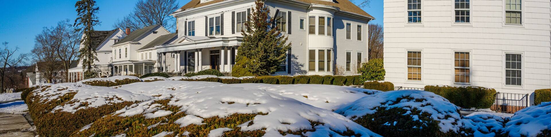 A snow-covered residential area with large white houses and a tall evergreen tree.