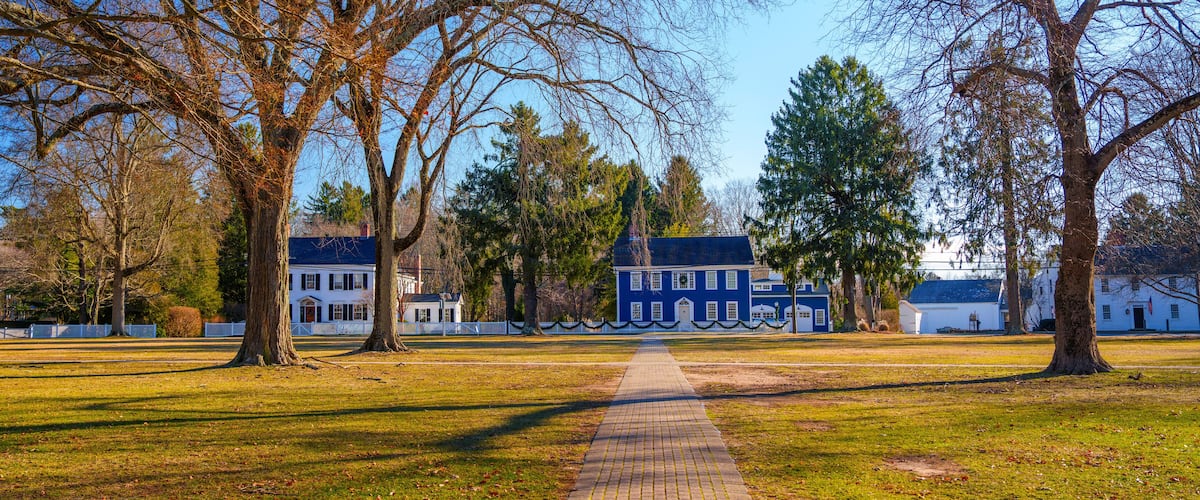 A park with a paved walkway, trees, and historic buildings in the background.