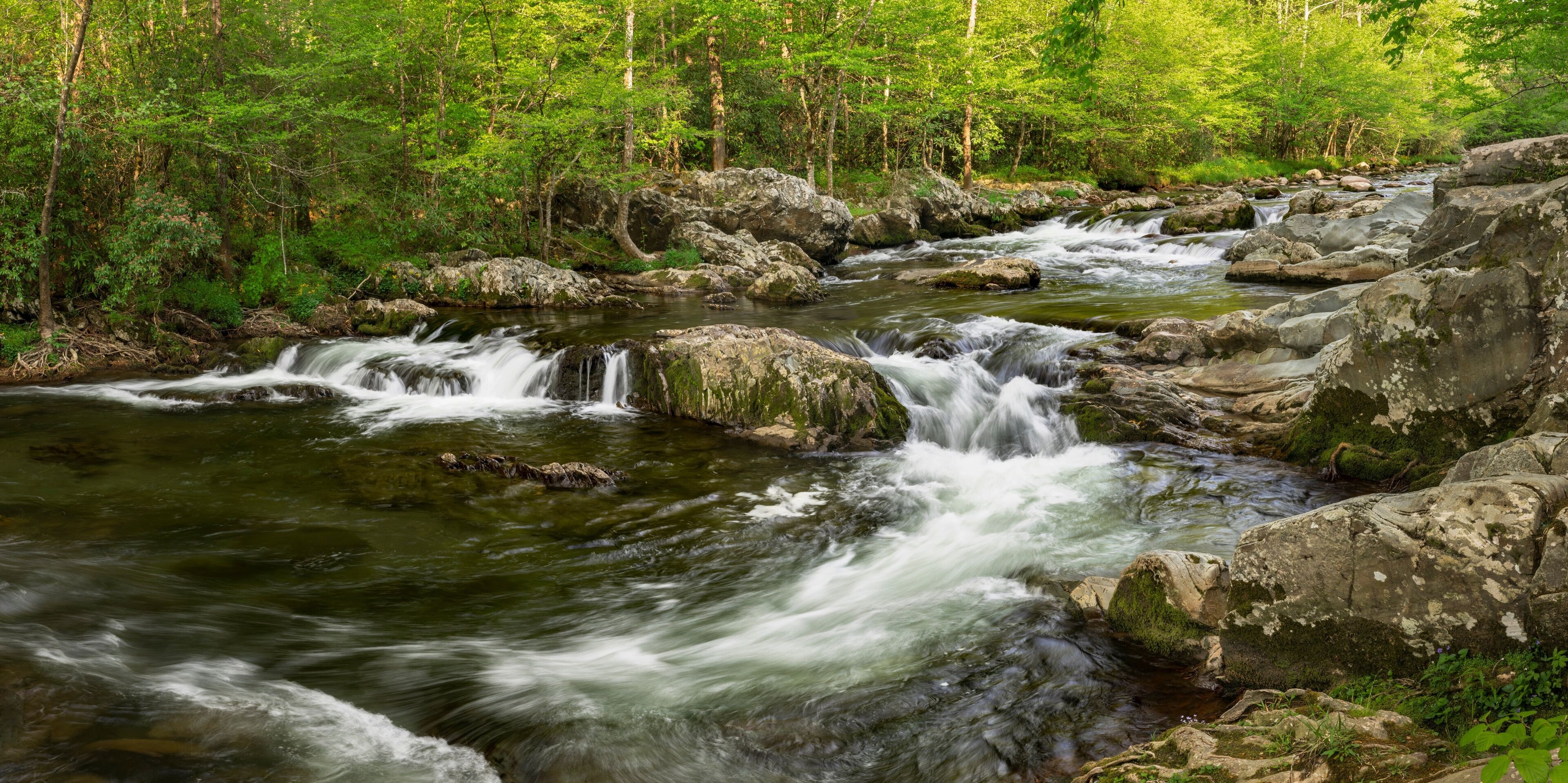 Spring panoramic view of Little Pigeon River, Greenbrier area, Great Smoky Mountains National Park, Tennessee
