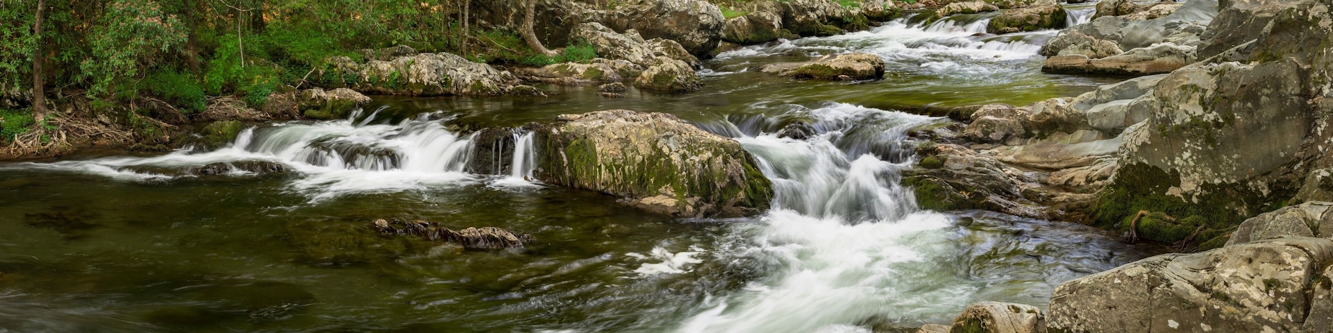 Spring panoramic view of Little Pigeon River, Greenbrier area, Great Smoky Mountains National Park, Tennessee