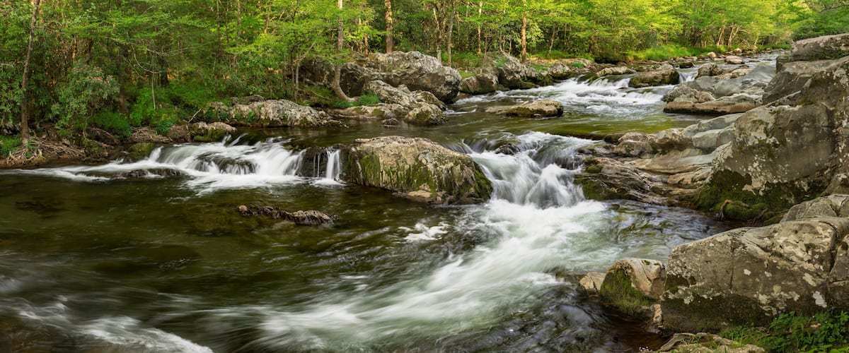 A flowing river with multiple cascades surrounded by dense forest.