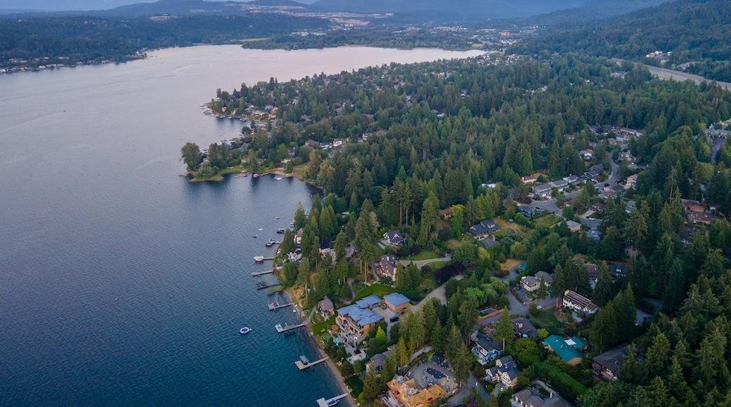 Aerial landscape of Lake Washington forest and mountains at sunset Bellevue suburb of Seattle WA