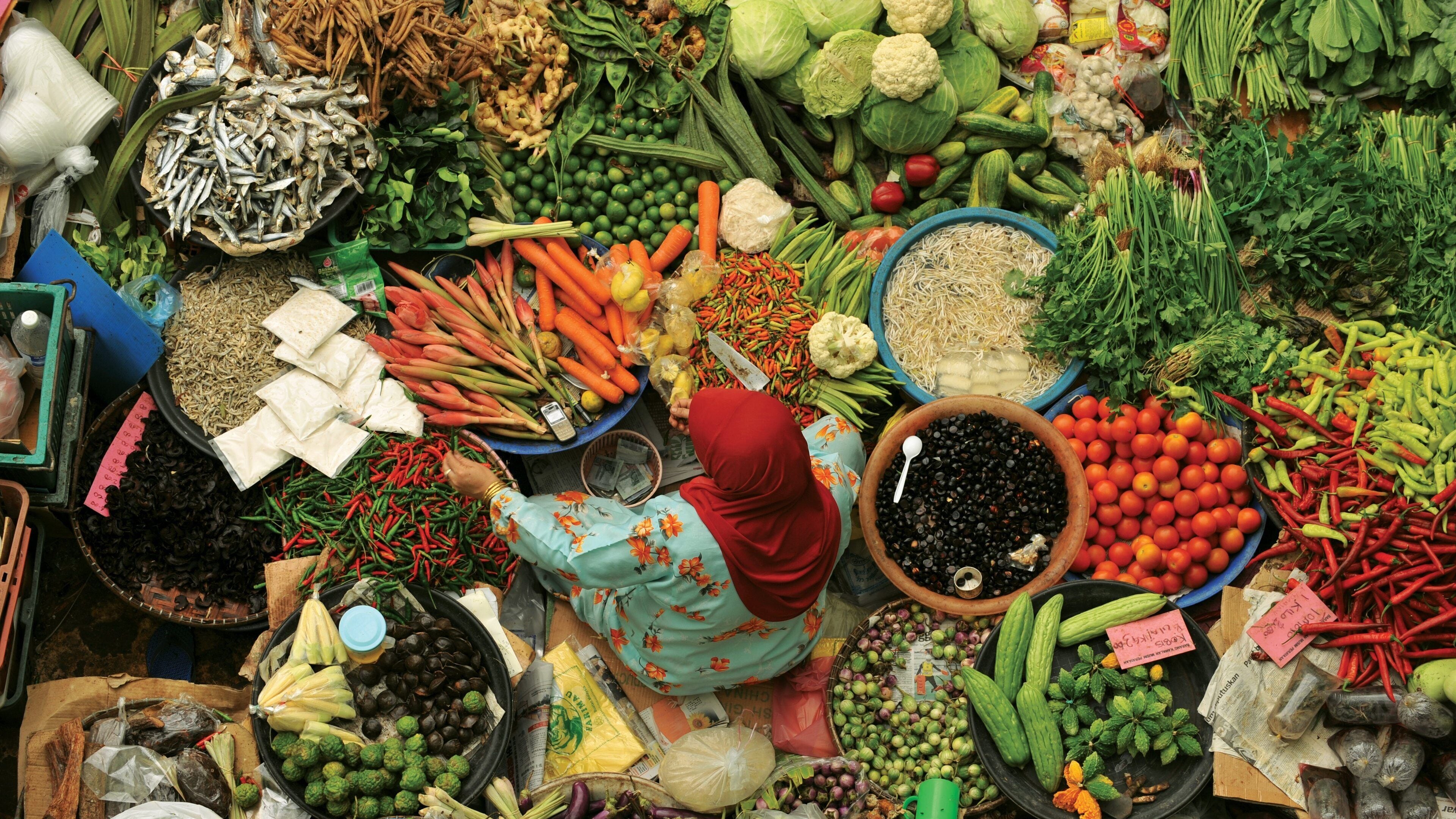 Kota Bharu featuring markets and food as well as an individual femail