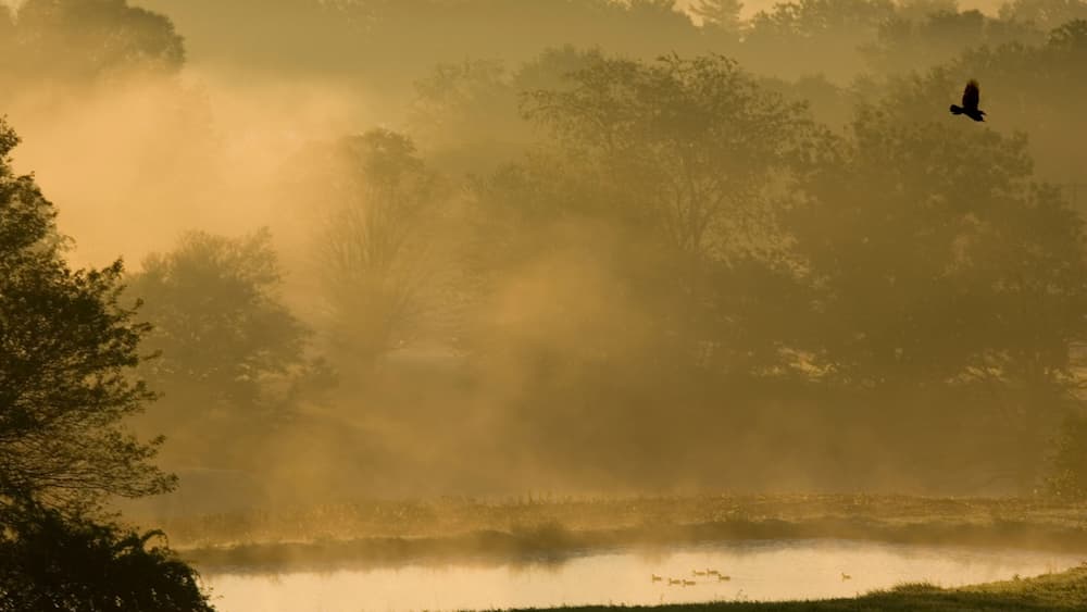 Sunrise over farmland near South Woodstock, Connecticut.