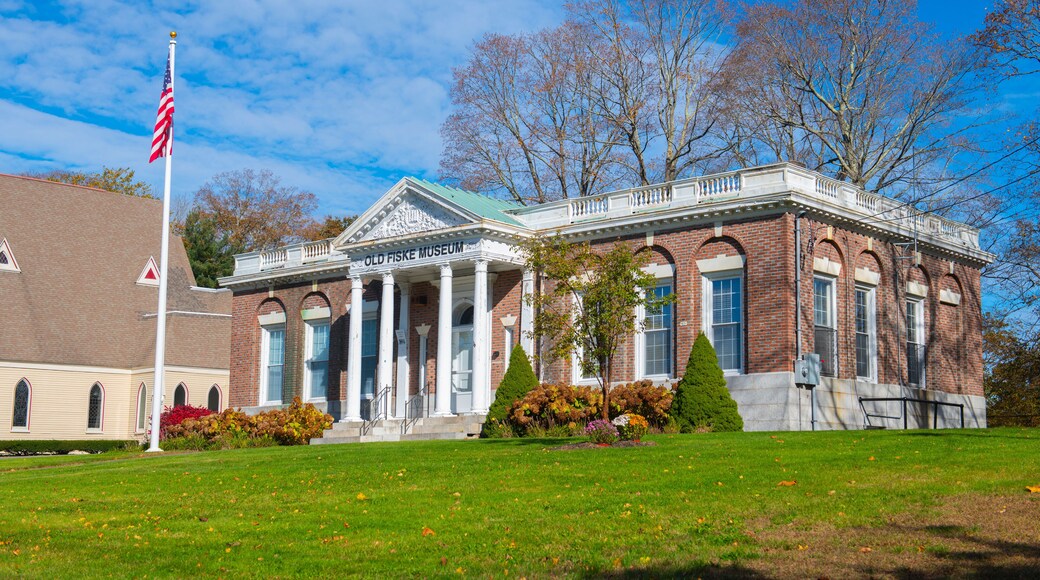 Old Fiske Museum at Town Common in historic town center of Wrentham, Massachusetts MA, USA. This building was Fiske Library before becoming a museum.
