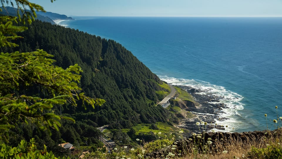 A coastal road winding through a dense forest, leading to a rocky shoreline with waves crashing onto the rocks.