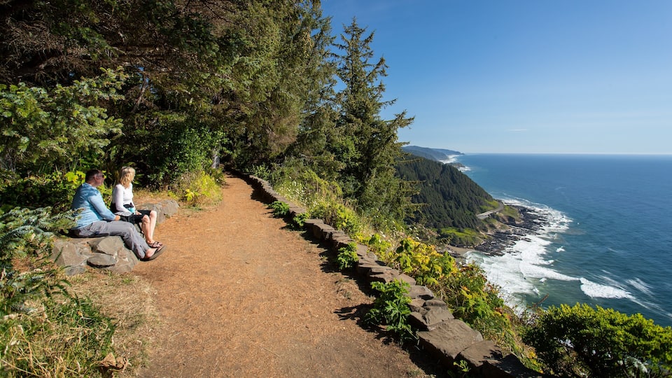 A coastal hiking trail with a view of the ocean and rocky cliffs.