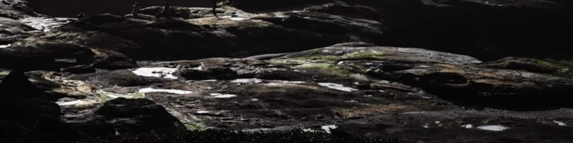 The rugged and awesomely beautiful coastline of Oregon from Yachats. It's much emptier in winter, and although you won't see whales at this time of year, you do get sea lions body surfing to the high and crazy incoming tides.