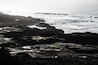 The rugged and awesomely beautiful coastline of Oregon from Yachats. It's much emptier in winter, and although you won't see whales at this time of year, you do get sea lions body surfing to the high and crazy incoming tides.