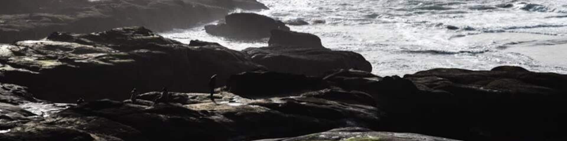 The rugged and awesomely beautiful coastline of Oregon from Yachats. It's much emptier in winter, and although you won't see whales at this time of year, you do get sea lions body surfing to the high and crazy incoming tides.