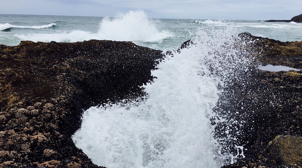 A must see if traveling 101